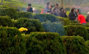 Im体育网站：2024年中国钢管市场深度调查：钢管行业的深度调整仍在进行之中(图5)
