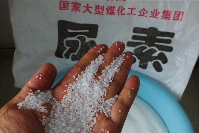 汽油调价预警！9月17日：调整后9295号汽油价格尿素价格如何(图2)