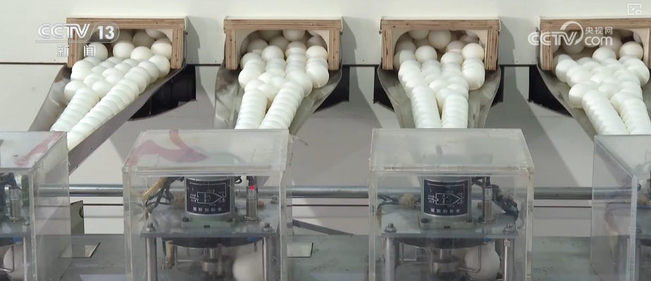 “小乒乓”内有“大乾坤”中国体育用品掀起“出海”热潮(图5)