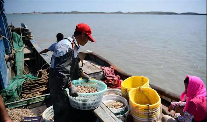 为什么不允许江船入海海船却可以入江？江船入海有什么后果？(图8)