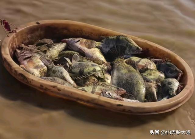 江西男子钓鱼打龟一怒之下下水摸鱼网友：不讲武德(图5)