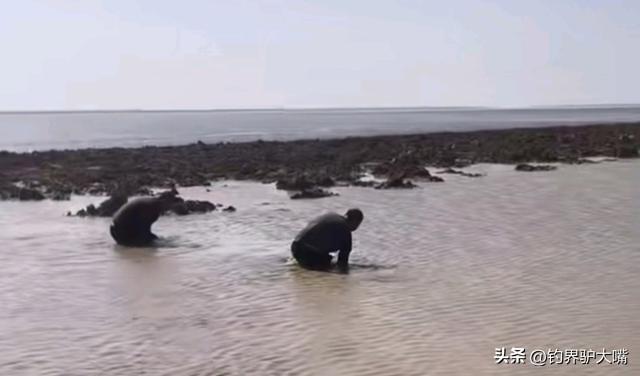 江西男子钓鱼打龟一怒之下下水摸鱼网友：不讲武德(图6)