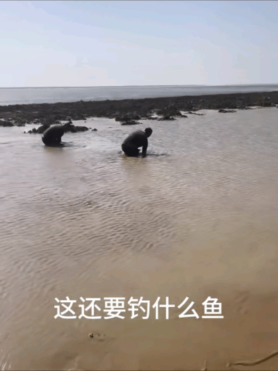 江西男子钓鱼打龟一怒之下下水摸鱼网友：不讲武德(图4)