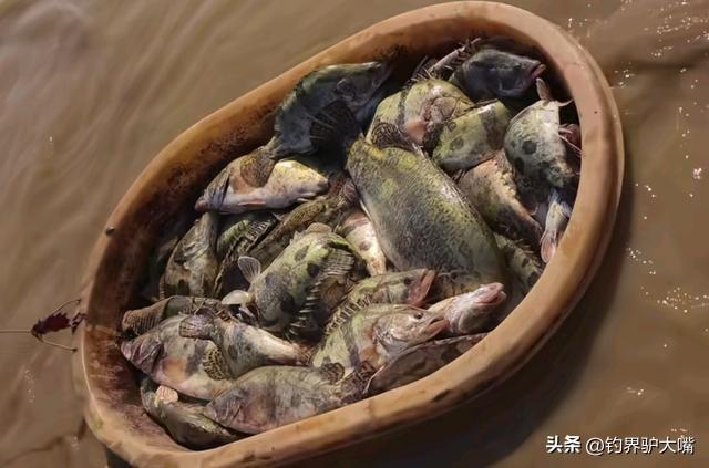 江西男子钓鱼打龟一怒之下下水摸鱼网友：不讲武德(图9)