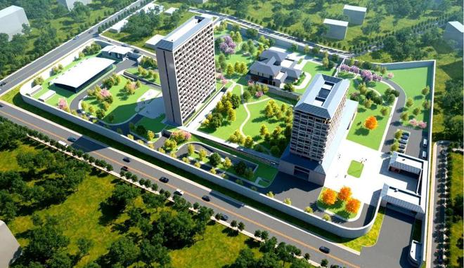 扬帆“一带一路”！中国中冶一大批海外项目取得重大突破(图1)