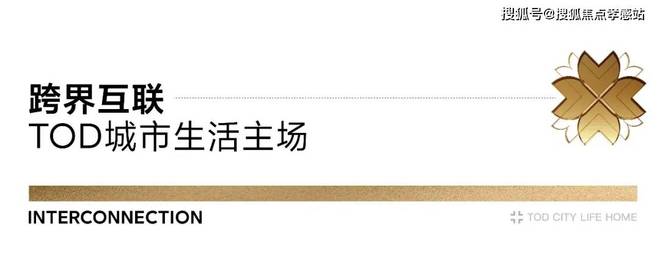 宝山时代乐章网站-招商时代乐章(2025·最新)楼盘详情(图22)