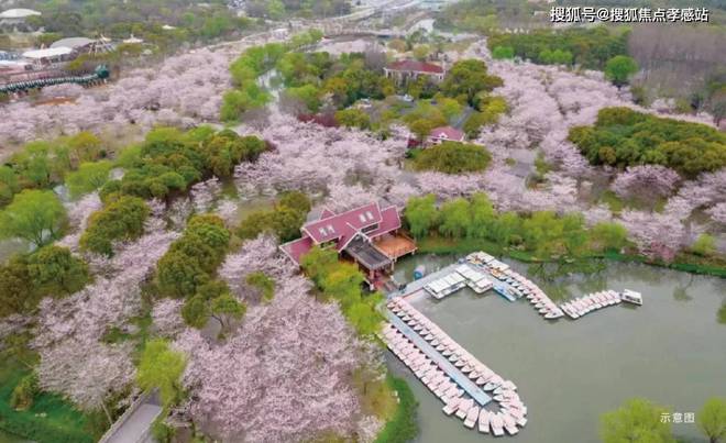 宝山时代乐章网站-招商时代乐章(2025·最新)楼盘详情(图21)