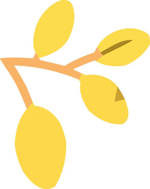 特长生相关问题合集(图8)