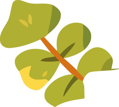 特长生相关问题合集(图9)