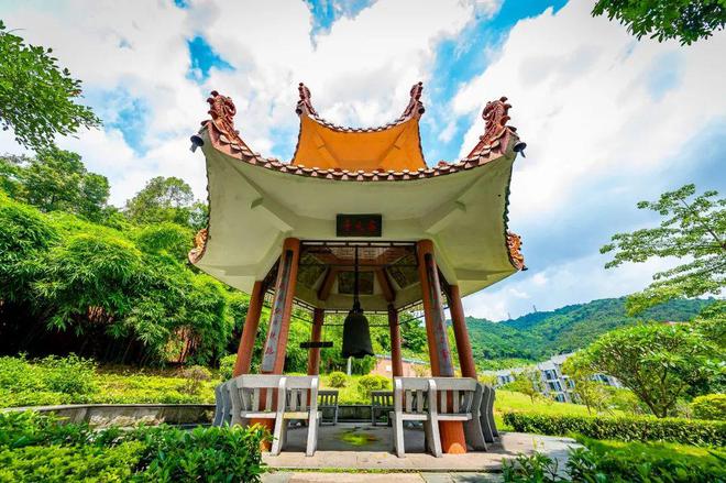 特长生相关问题合集(图11)