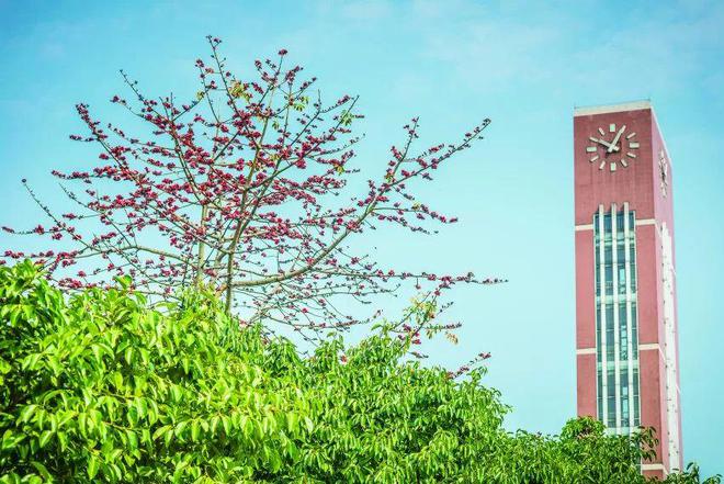 特长生相关问题合集(图12)