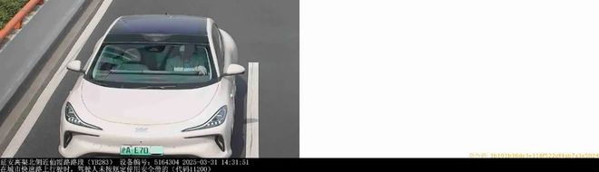 【电子警察】沪A00不系安全带记1分罚100元！(图5)