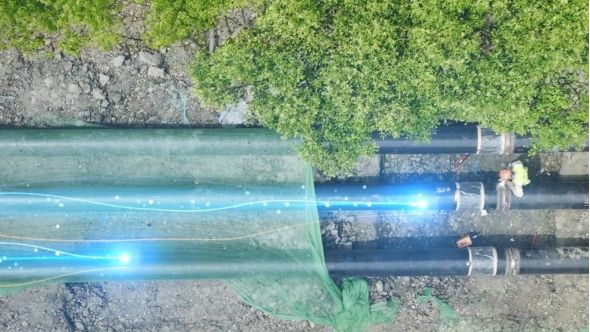 Im（中国体育）：青浦这个民生工程建成投用！(图2)