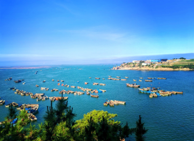 经济大省挑大梁山东蓝色海岸线的“海外推介手册”(图1)