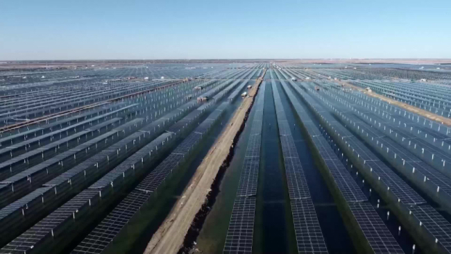 经济大省挑大梁山东蓝色海岸线的“海外推介手册”(图5)