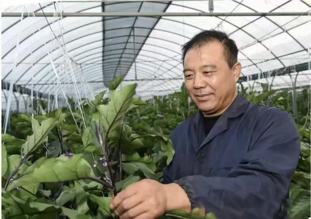 沧州早报│“我有时很晚才下班刚要入睡就听到了……”(图2)