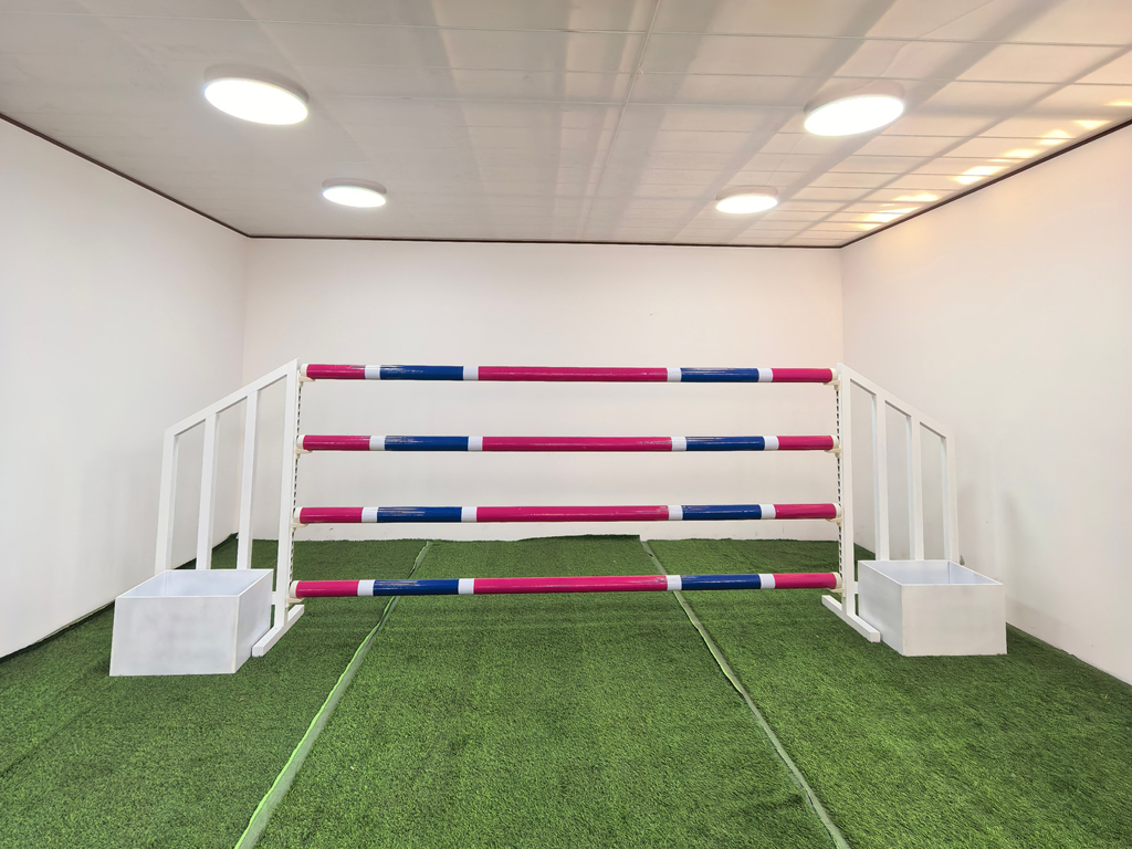 2026年内蒙古马跳订购优质厂家盘点与选购指南(图1)