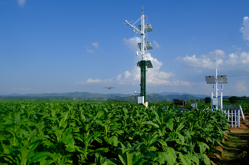 河南三门峡：数智赋能破藩篱减负增效激活力(图1)