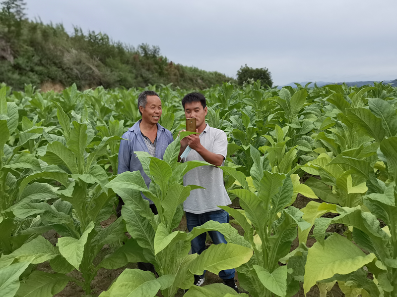 河南三门峡：数智赋能破藩篱减负增效激活力(图2)